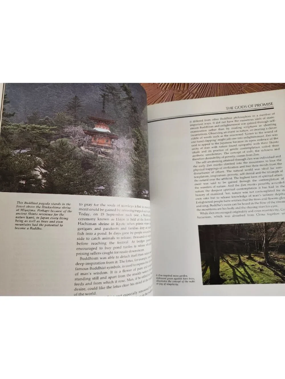 In the Shadow of Fujisan: Japan and Its Wildlife by Jo Stewart-Smith 1987